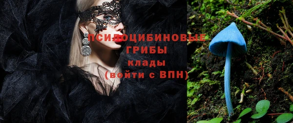 соль курить ск Алзамай