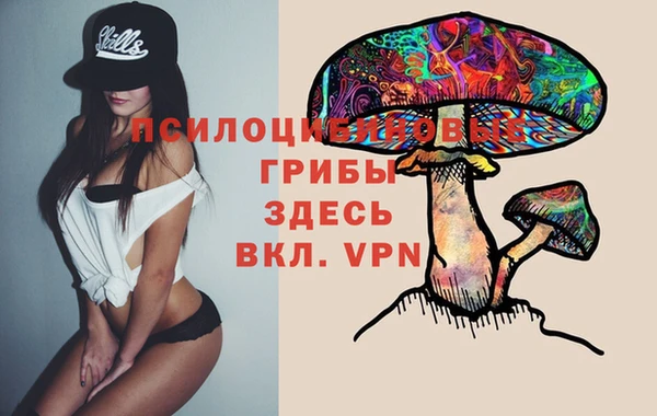 соль курить ск Алзамай
